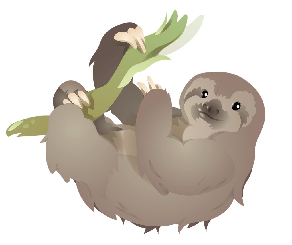 Tree Drawing Sloth Cartoon Free Svg Cut Files